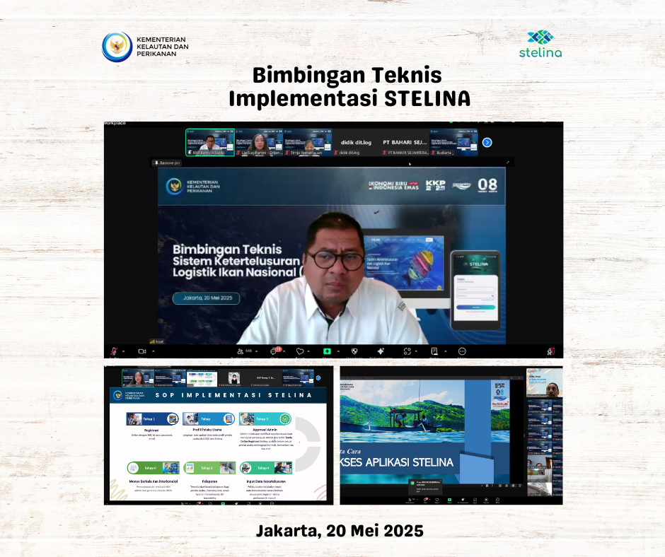BIMBINGAN TEKNIS STELINA
